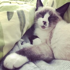 Meet your Posher, Sandi